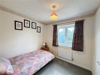 Picture 19